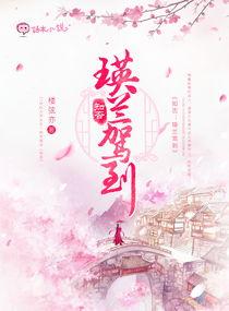 全娱乐圈跟我吃瓜的小说,瓜田里的明星盛宴