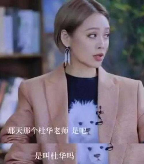 娱乐吃瓜姐缝纫机乐队